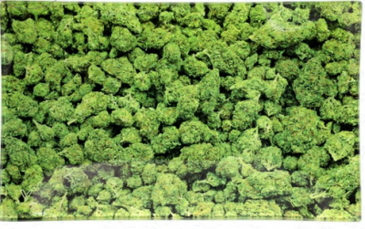 V Syndicate Glastray S Buds 125x160mm