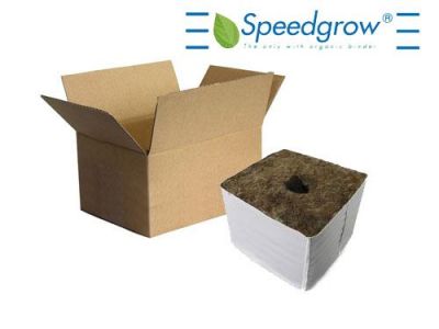 Speedgrow Green Startblock, kleines Loch Karton à 224 Stk