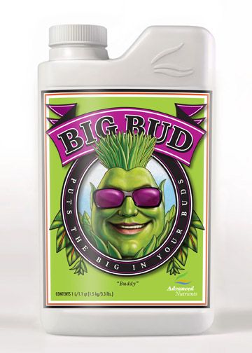Big_Bud_1L_Bottle_Web