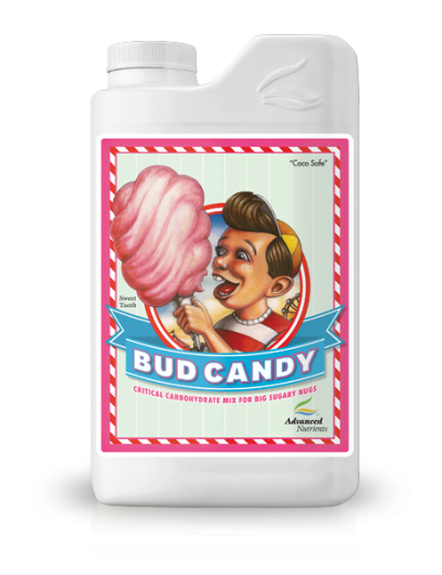 Bud-Candy