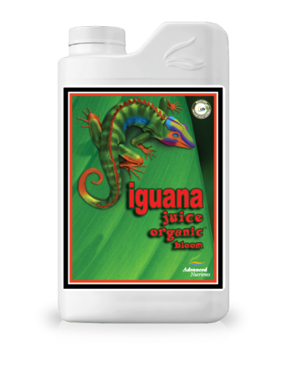 Iguana-Juice-Bloom-2018
