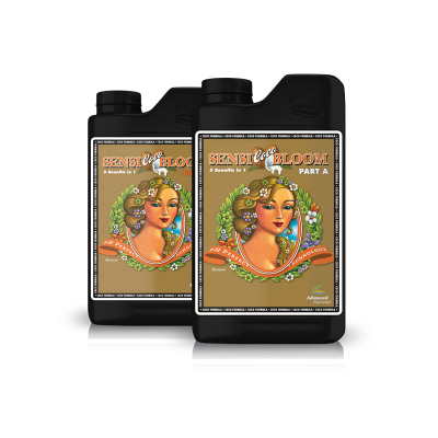 pH_Perfect_Connoisseur_Coco_Bloom_A_1L_Bottle_72dpi_2015