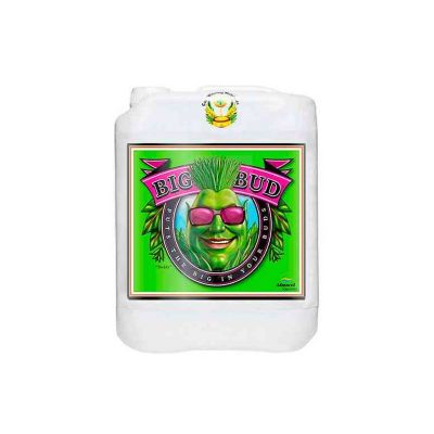 Big_Bud_1L_Bottle_Web