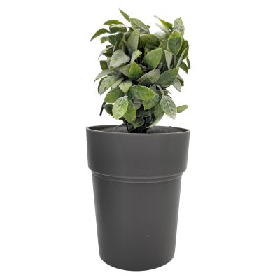 Buddies Flower Pot Safe
