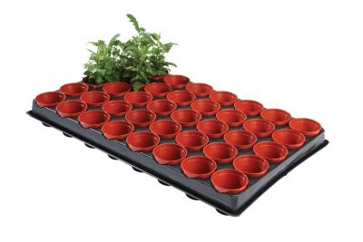 Garland Professional Seed and Cutting Tray 40x6 Pots