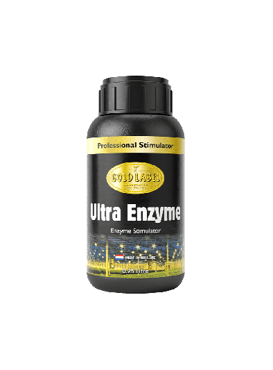 Enzyme 1L 72dpi