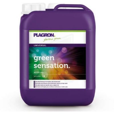 5l-green-sensation