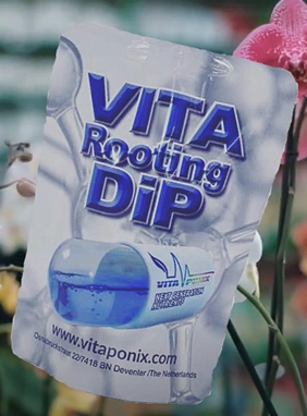 Vita Rooting DiP 100ml